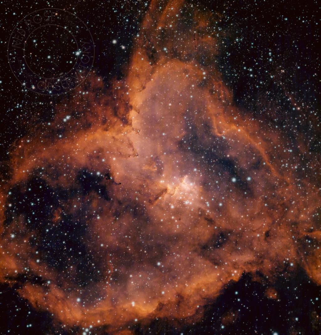 The Heart Nebula