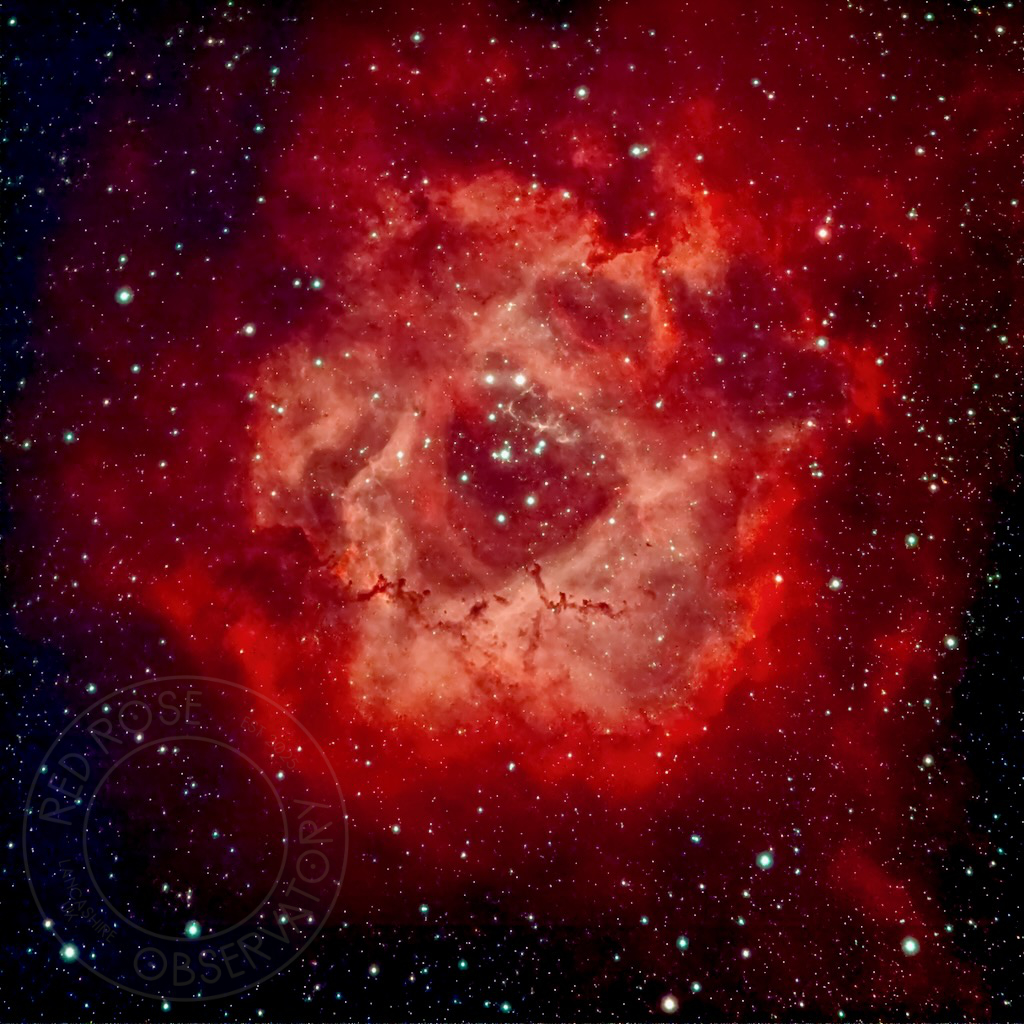 The Rosette Nebula
